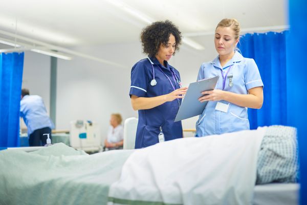 nursing and midwifery council jobs